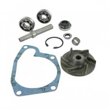 Kit Riparazione Pompa Acqua Trattore Massey Ferguson 122-Riferimento Originale U7LW0003-OMP