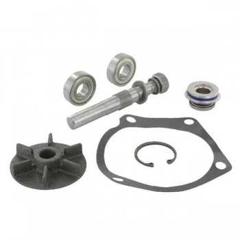 Kit Riparazione Pompa Acqua Trattore Landini-Massey Ferguson 6500-155-Riferimento Originale 59140