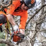 Motosega Husqvarna T525-X-Torq®-27cm³-2.7Kg-1.1Kw-PerPotatura-Barra 30cm-Carving