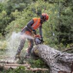 Motosega Husqvarna 550Xp Autotune 50.1cm-2.8Kw-4.9Kg-Barra 45cm-Professionale