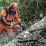 Motosega Husqvarna 550Xp Autotune 50.1cm-2.8Kw-4.9Kg-Barra 45cm-Professionale