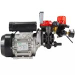 Gruppo Elettropompa Annovi Reverberi AR 252 VRI GR 30 BlueFlex EM – Pompa 2 Membrane 24,6 l/min 25 Bar per Irrorazione Agricola (Cod. 32180)