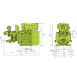Gruppo Elettropompa Annovi Reverberi AR DUE EM BlueFlex VRI – Pompa 2 Membrane 13 l/min 20 Bar per Irrorazione Agricola e Giardinaggio (Cod. 32171)
