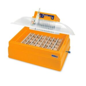 Incubatrice Uova Novital 54 Analogica-Manuale-Resistenza 140 W-Covatutto-Gallina