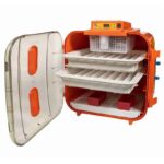 Incubatrice Novital Covatutto 108 Digitale 230V | 108 Uova, Controllo Temperatura Digitale, Grande Capacità, Professionale per Allevamenti