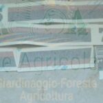 Serie Decalcomania-Adesivi Per Trattore Fiat 70-66 DT