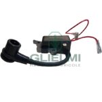 Bobina Accensione Motosega Echo, Shindaiwa CS 2511TES-Riferimento P021050160-Adattabile