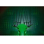 Abbacchiatore Olive Elettrico Active E1200L-12V-2.5 Kg-Telescopico 2.10 Mt a 3.10 Mt-Scuotitore